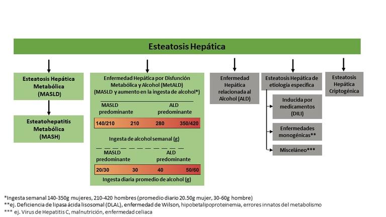 Spanish version SLD Sub-classification figure with legend and citation