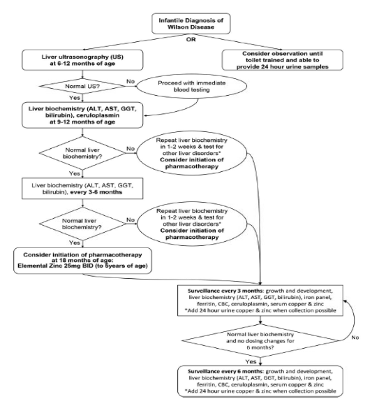 Schema for Management of Infantile Wilson Disease Diagram