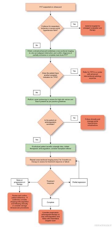 Recommended management algorithm for PVT.